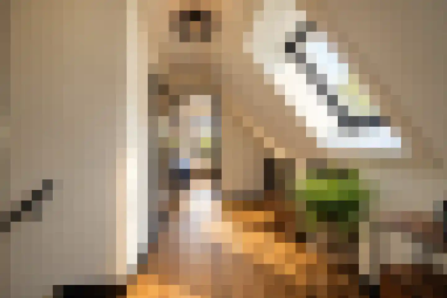 Vlaamse Gaai 7 Etten-Leur thumbnail 31