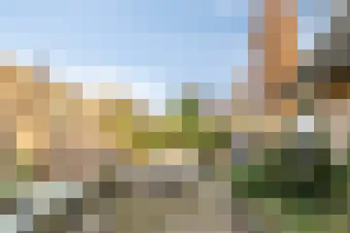 Vlaamse Gaai 7 Etten-Leur thumbnail 31