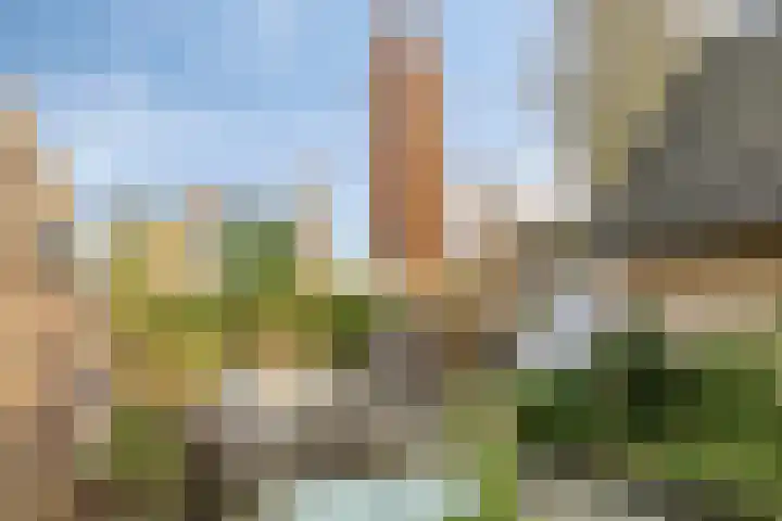 Vlaamse Gaai 7 Etten-Leur thumbnail 32