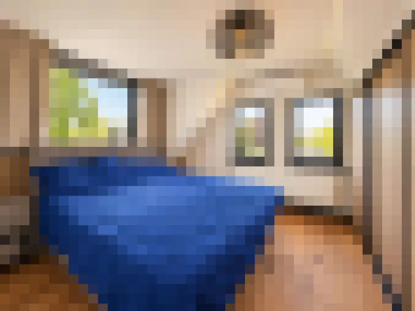 Vlaamse Gaai 7 Etten-Leur thumbnail 32