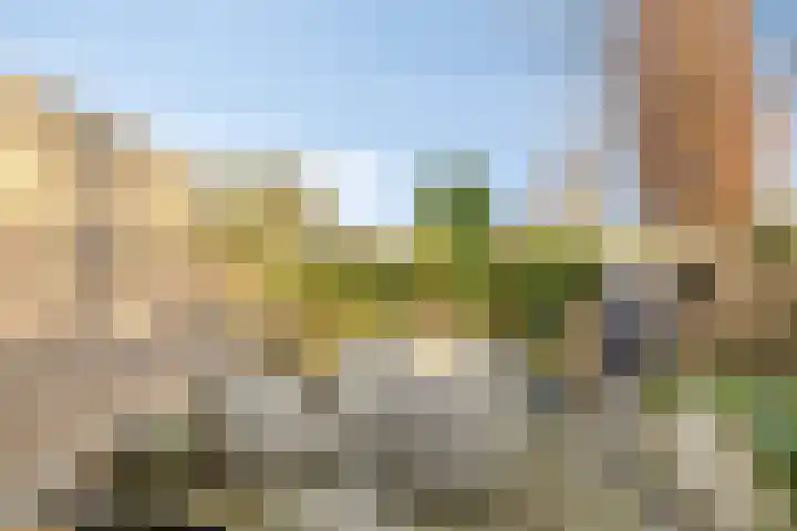 Vlaamse Gaai 7 Etten-Leur thumbnail 33
