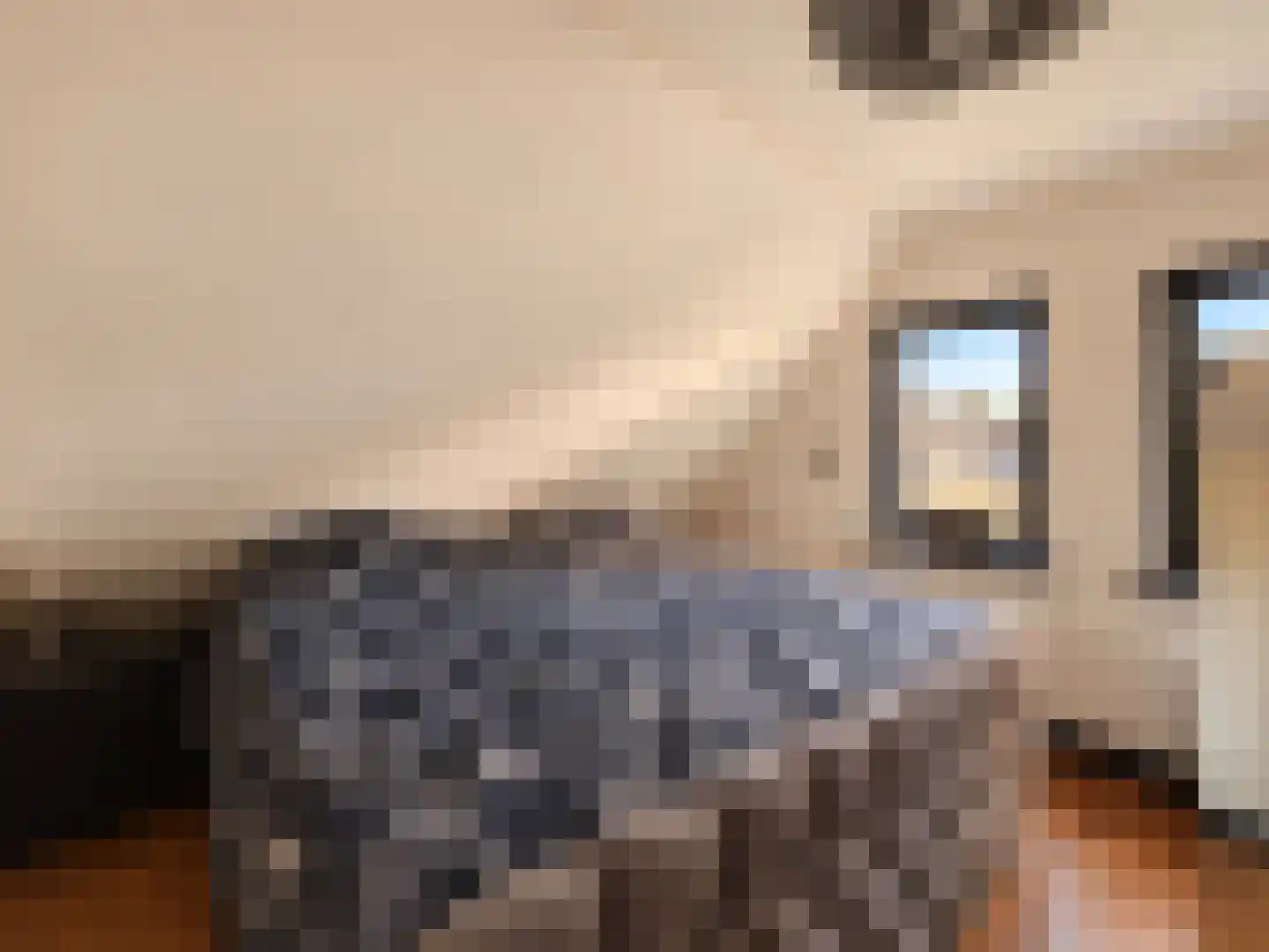 Vlaamse Gaai 7 Etten-Leur thumbnail 33
