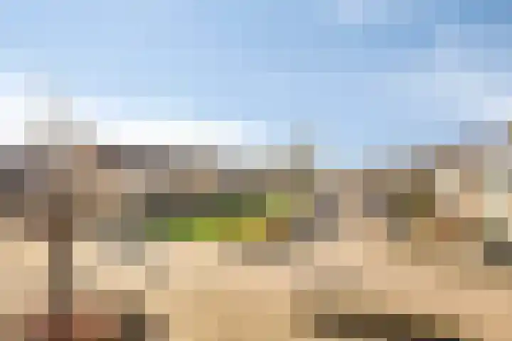 Vlaamse Gaai 7 Etten-Leur thumbnail 34