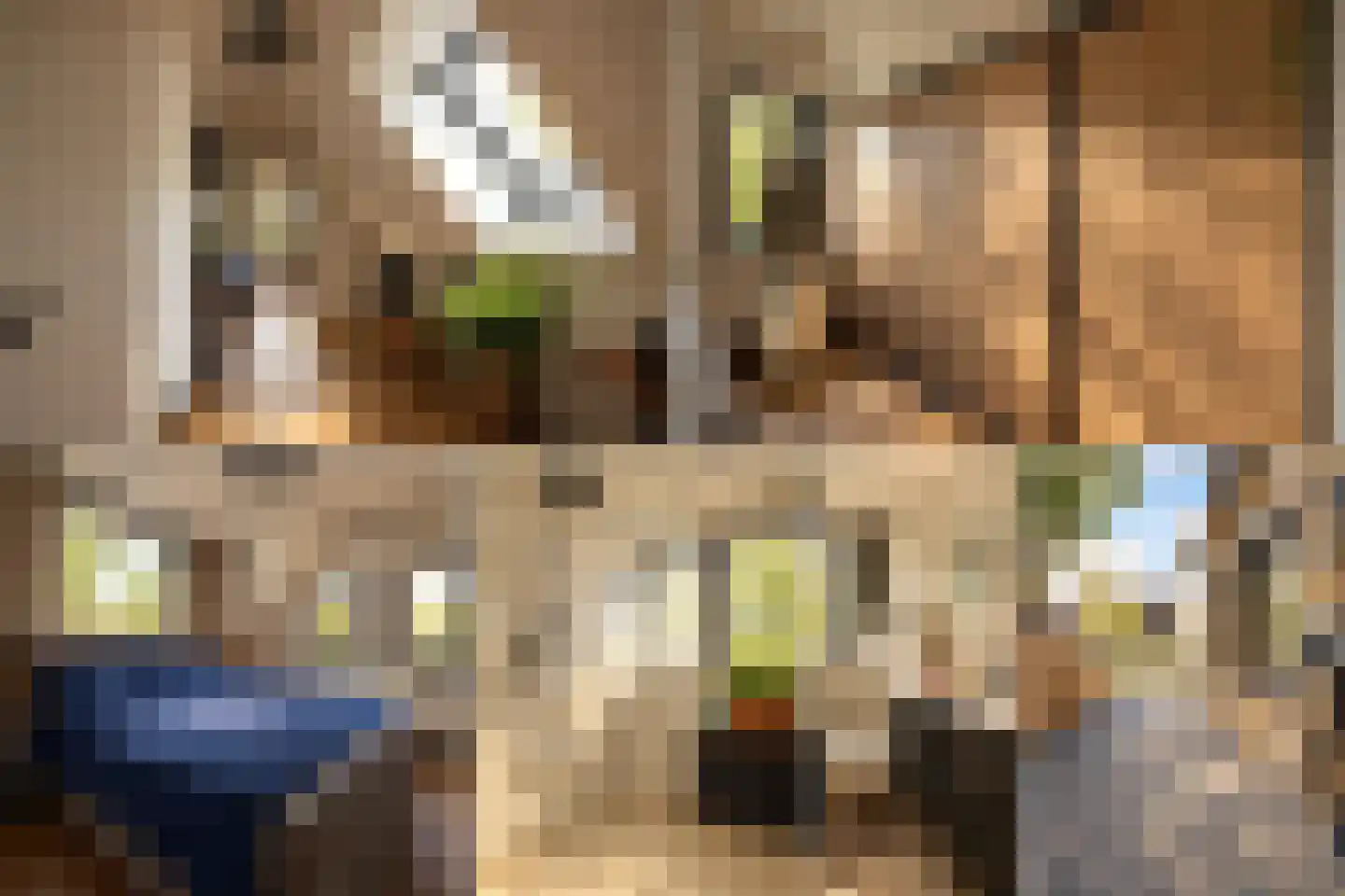 Vlaamse Gaai 7 Etten-Leur thumbnail 34