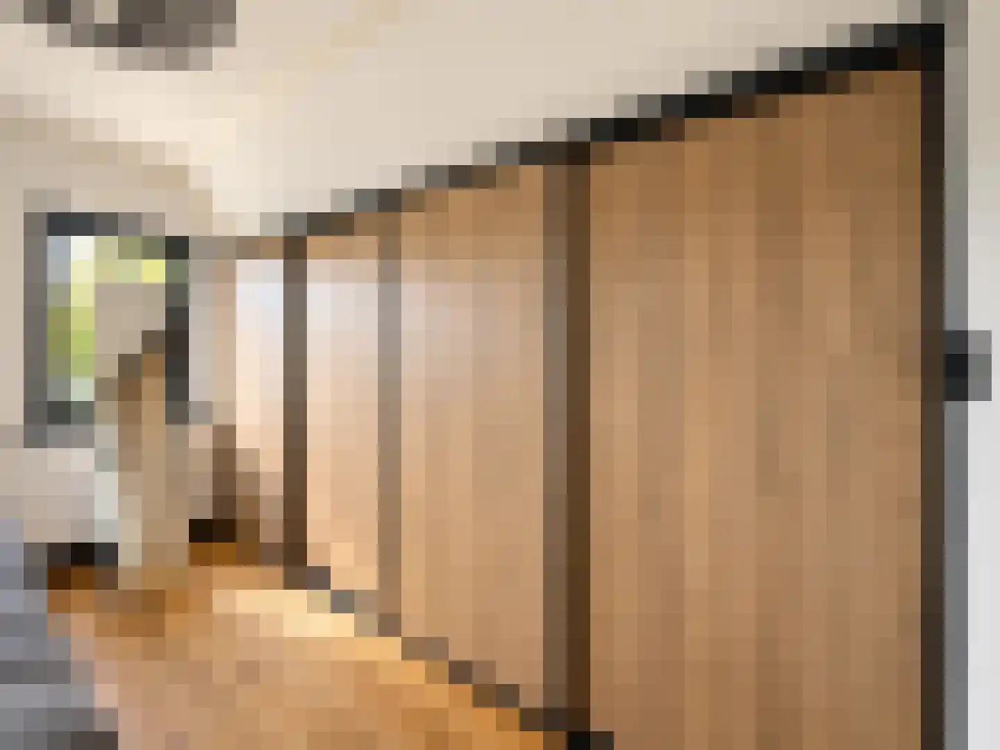 Vlaamse Gaai 7 Etten-Leur thumbnail 35