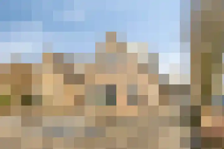 Vlaamse Gaai 7 Etten-Leur thumbnail 36