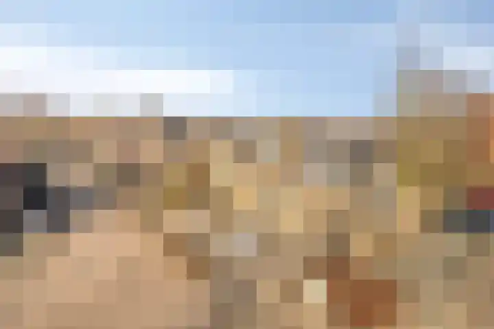 Vlaamse Gaai 7 Etten-Leur thumbnail 37