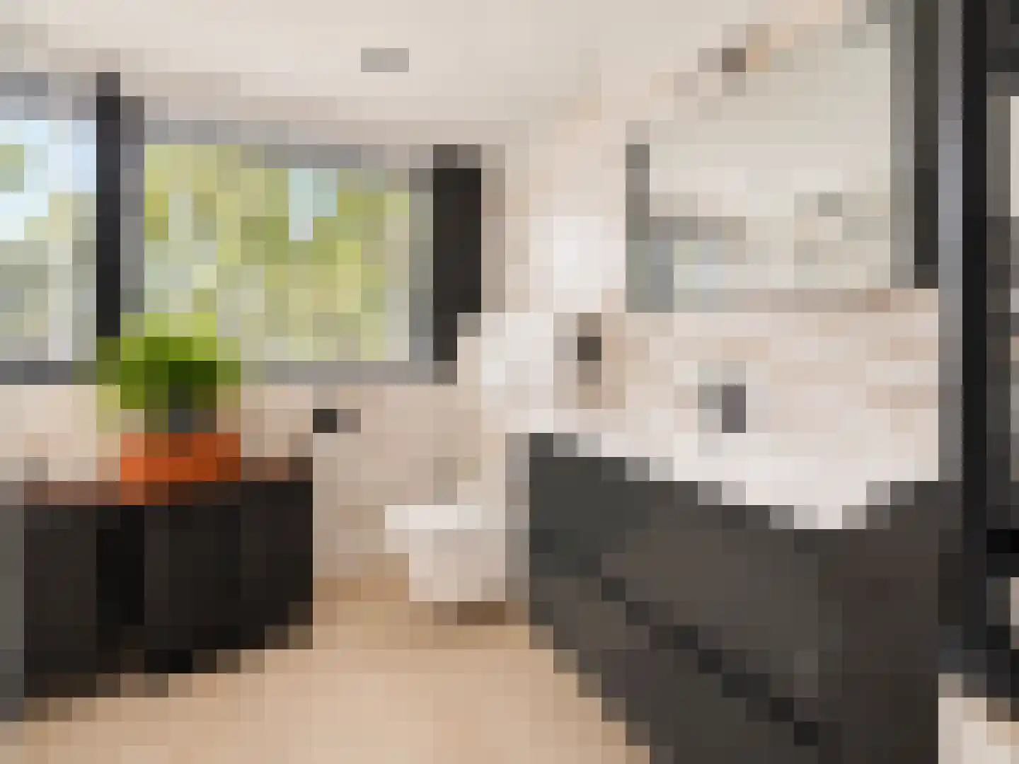 Vlaamse Gaai 7 Etten-Leur thumbnail 38