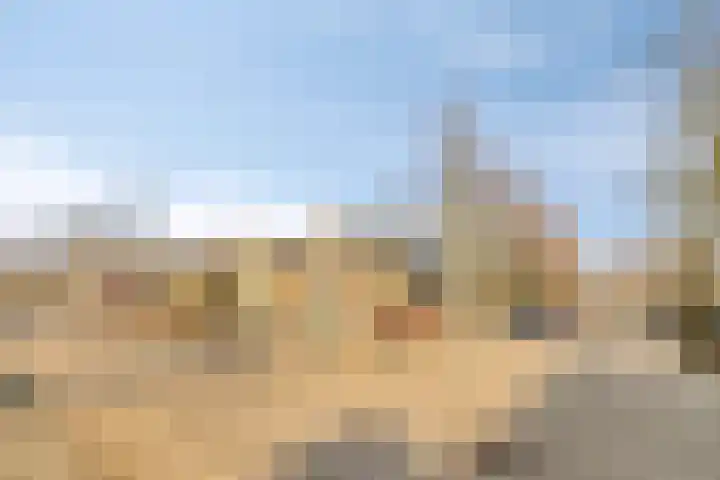 Vlaamse Gaai 7 Etten-Leur thumbnail 38