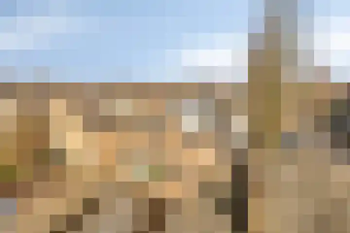 Vlaamse Gaai 7 Etten-Leur thumbnail 39