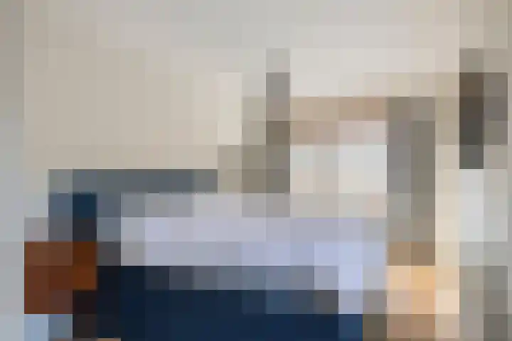 Vlaamse Gaai 7 Etten-Leur thumbnail 4