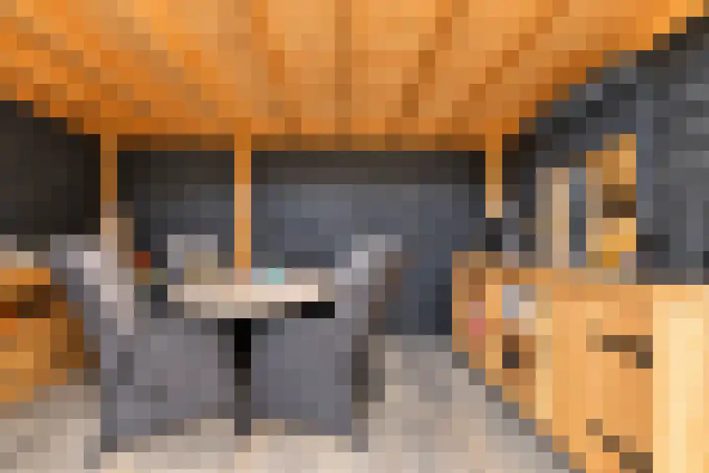 Vlaamse Gaai 7 Etten-Leur thumbnail 41
