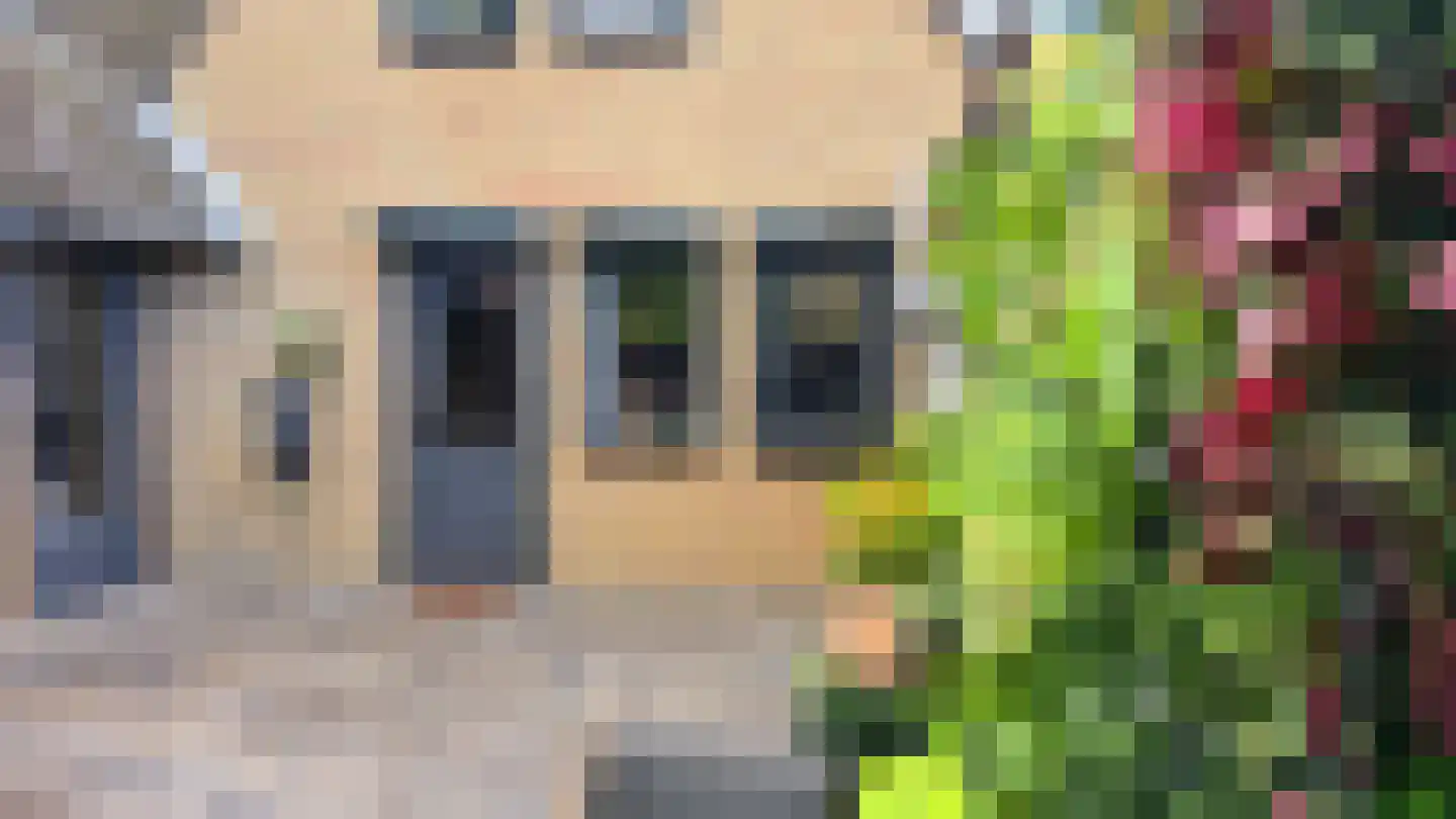 Vlaamse Gaai 7 Etten-Leur thumbnail 45