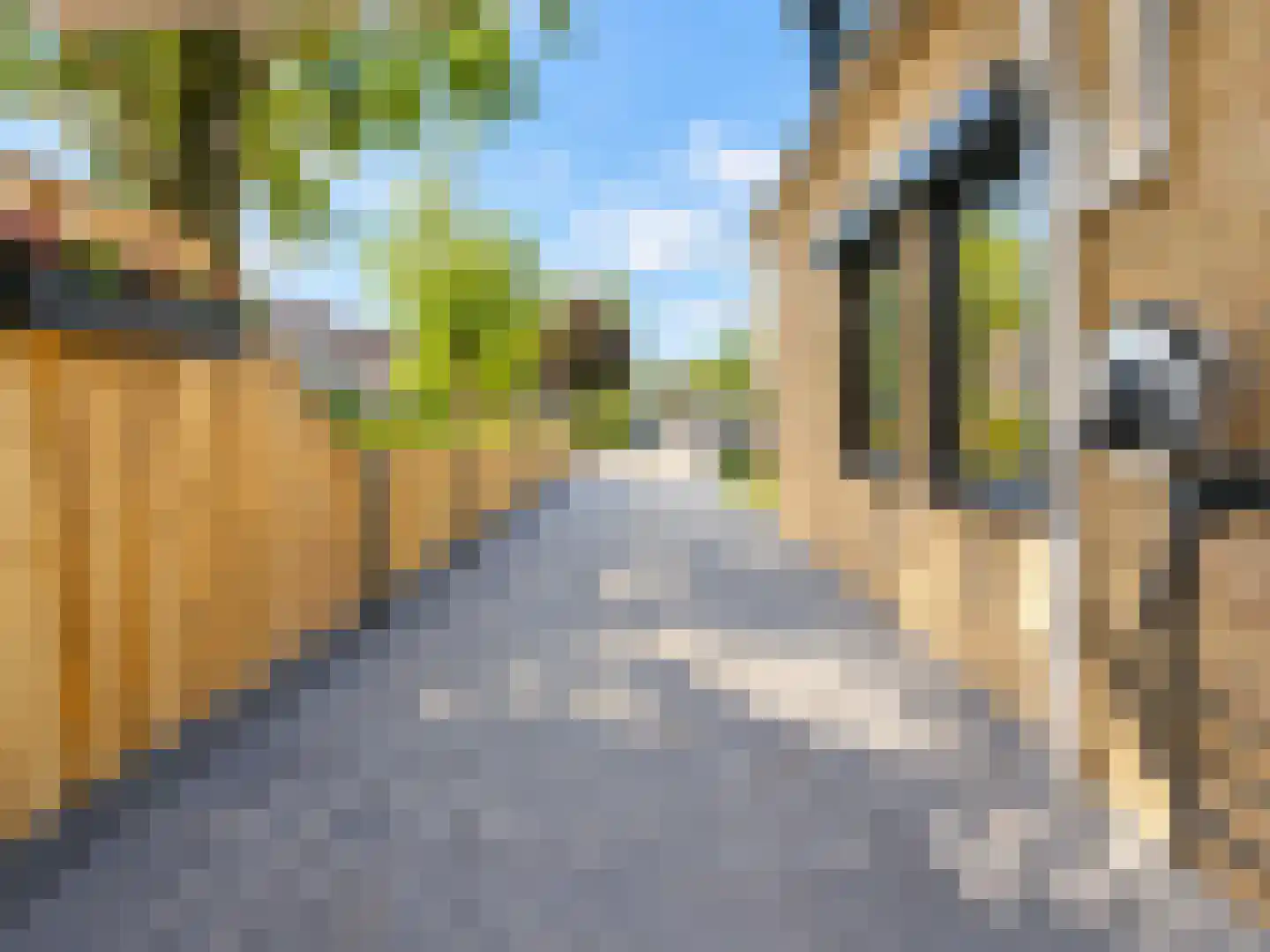 Vlaamse Gaai 7 Etten-Leur thumbnail 48