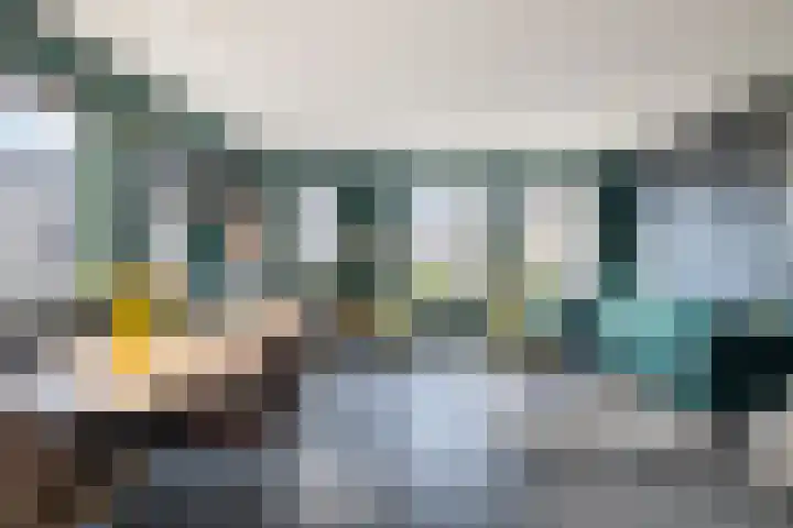 Vlaamse Gaai 7 Etten-Leur thumbnail 5