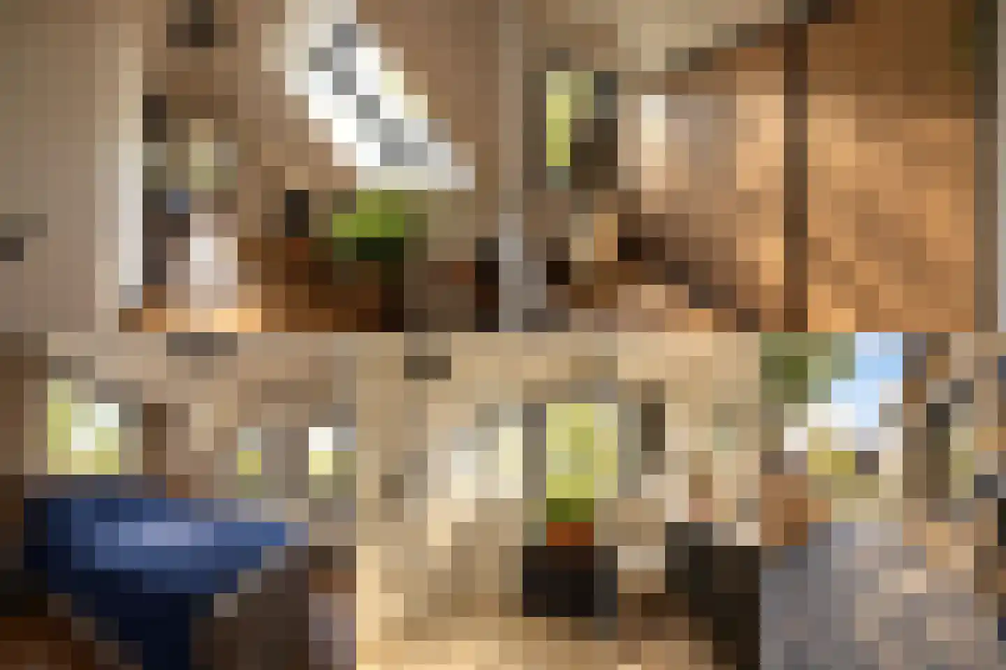 Vlaamse Gaai 7 Etten-Leur thumbnail 5