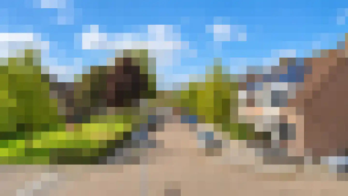 Vlaamse Gaai 7 Etten-Leur thumbnail 53