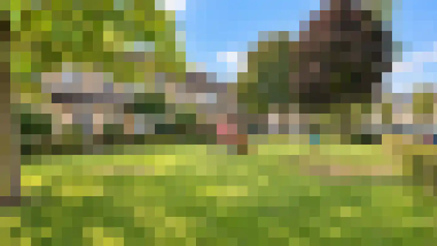 Vlaamse Gaai 7 Etten-Leur thumbnail 54