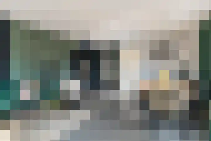 Vlaamse Gaai 7 Etten-Leur thumbnail 6