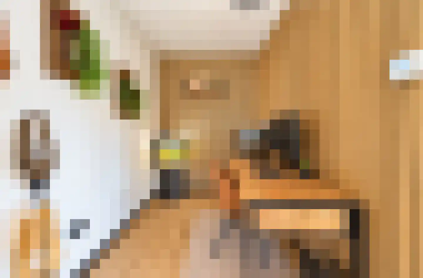 Vlaamse Gaai 7 Etten-Leur thumbnail 7