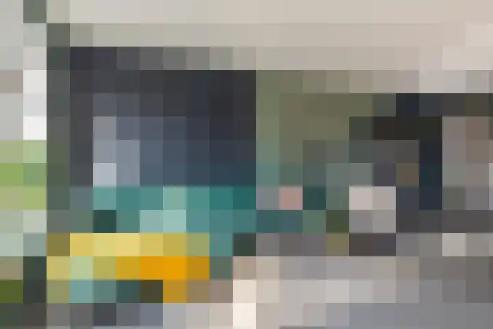 Vlaamse Gaai 7 Etten-Leur thumbnail 7
