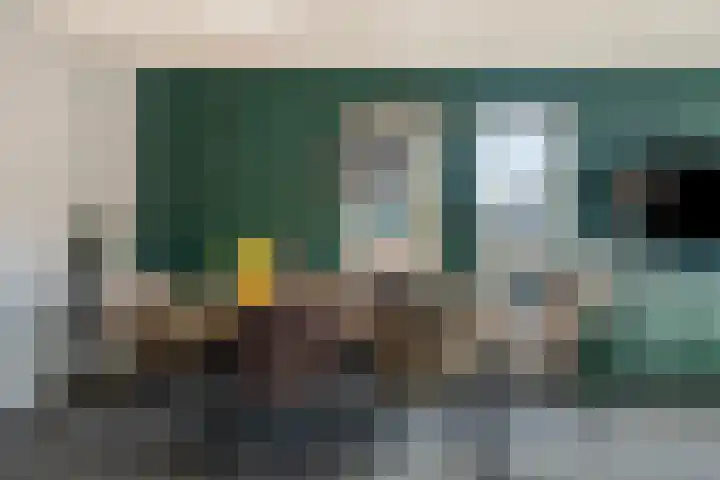 Vlaamse Gaai 7 Etten-Leur thumbnail 9