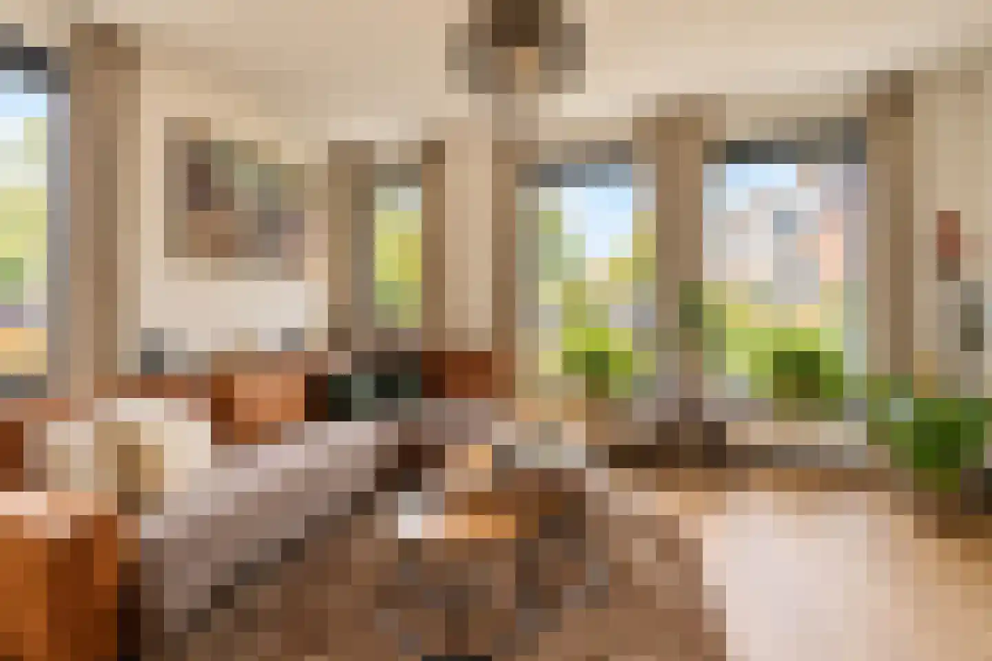 Vlaamse Gaai 7 Etten-Leur thumbnail 9