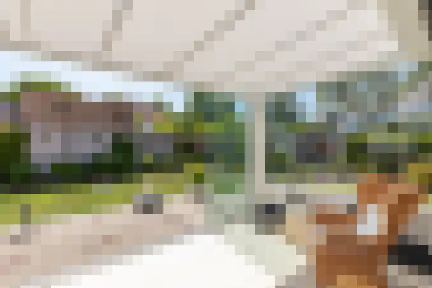 Vlaamse Gaai 7 Oostkapelle thumbnail 12