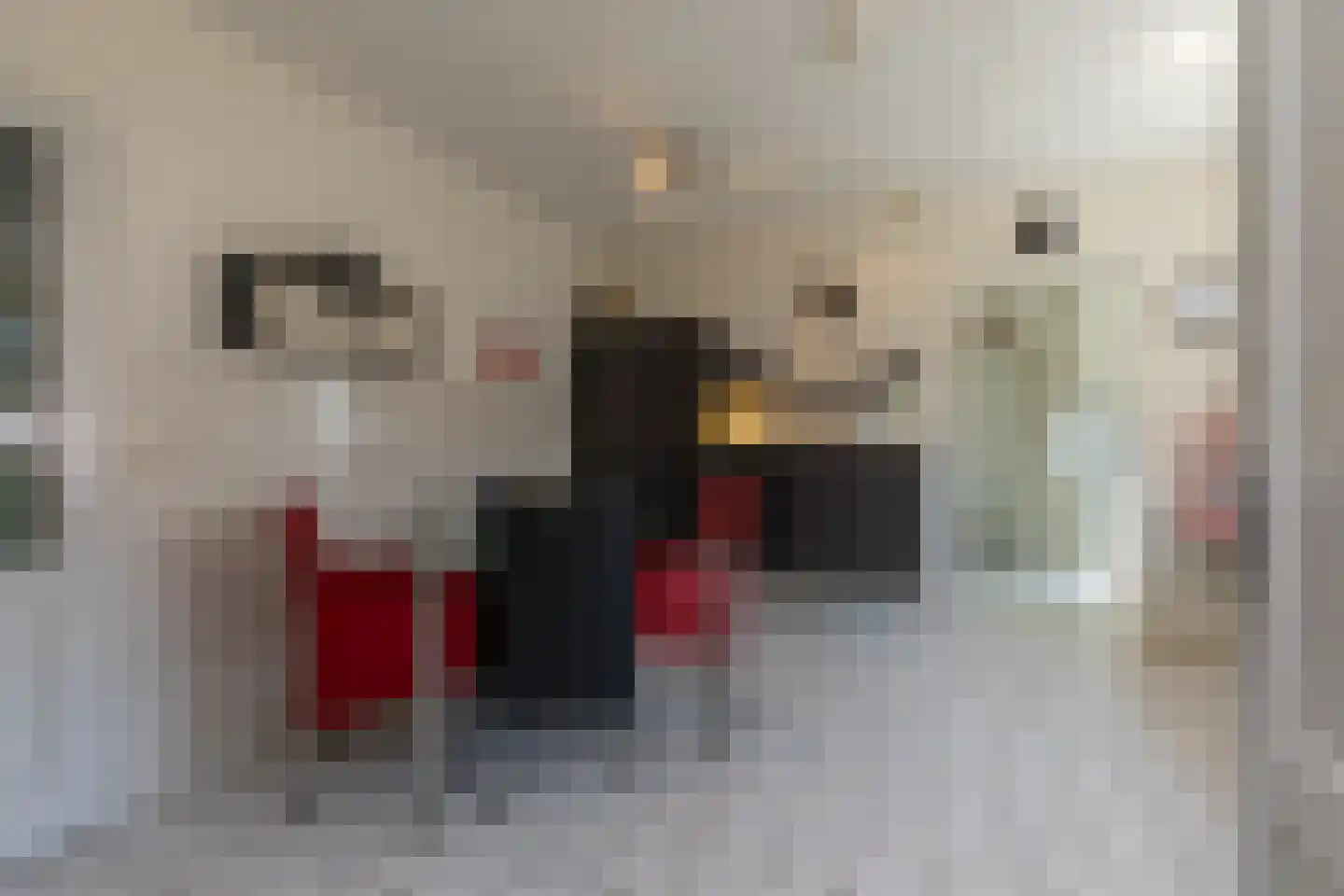 Vlaamse Gaai 7 Oostkapelle thumbnail 13
