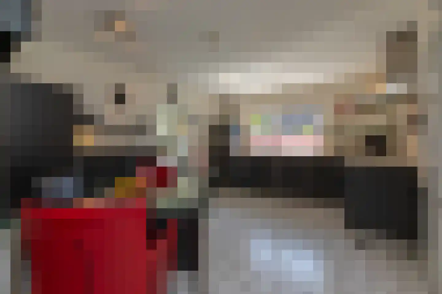 Vlaamse Gaai 7 Oostkapelle thumbnail 14