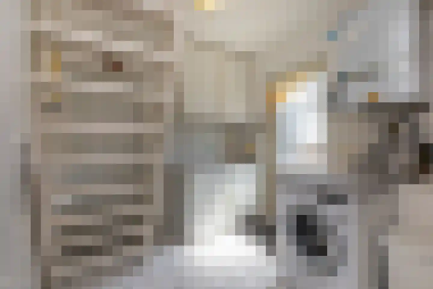 Vlaamse Gaai 7 Oostkapelle thumbnail 18
