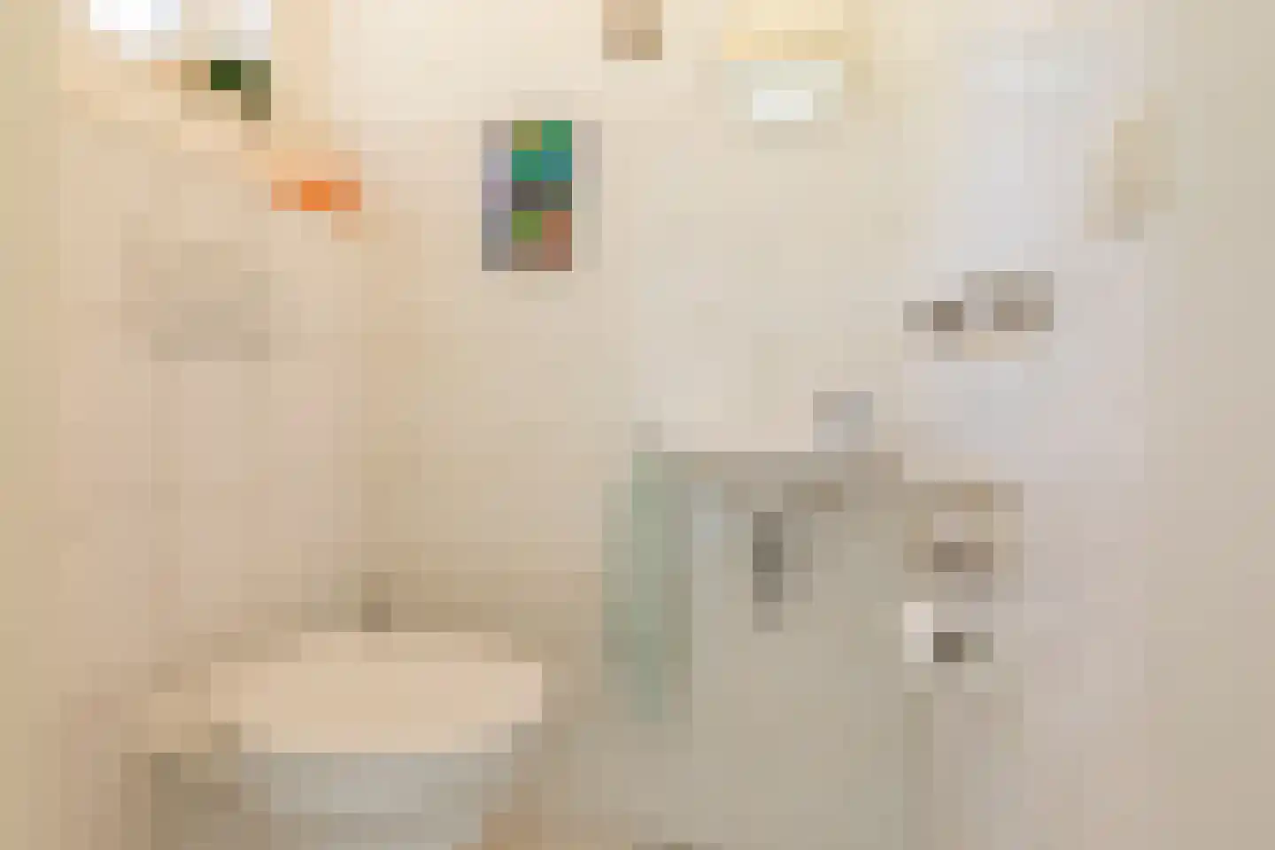 Vlaamse Gaai 7 Oostkapelle thumbnail 23