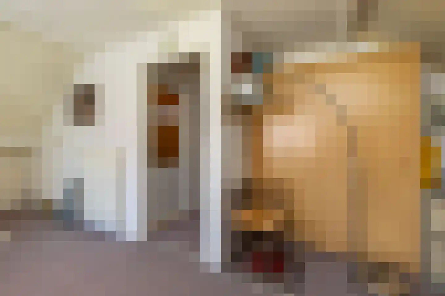 Vlaamse Gaai 7 Oostkapelle thumbnail 25