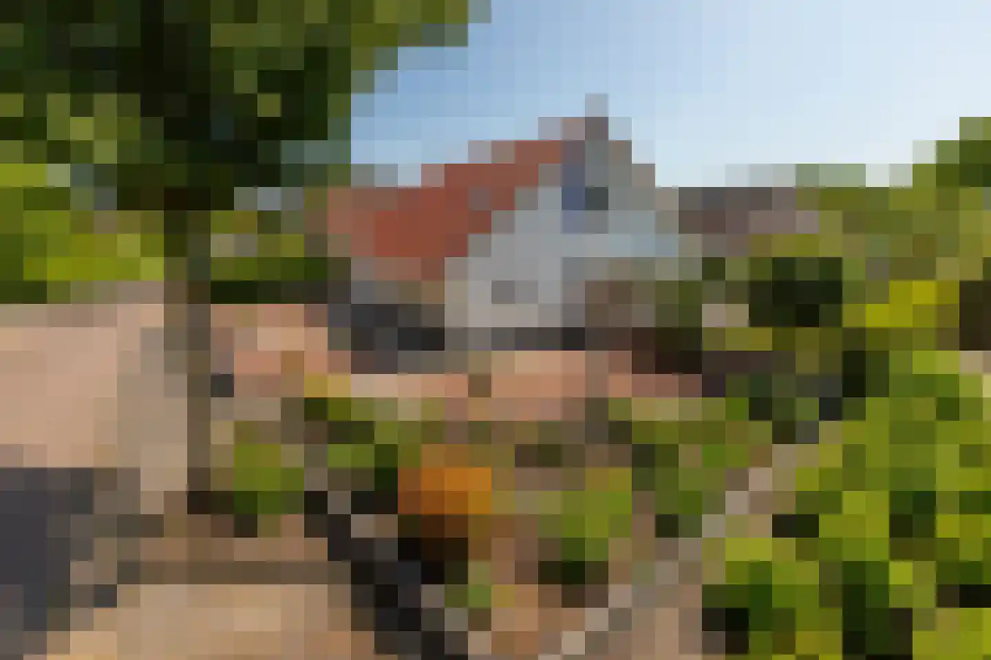 Vlaamse Gaai 7 Oostkapelle foto 3