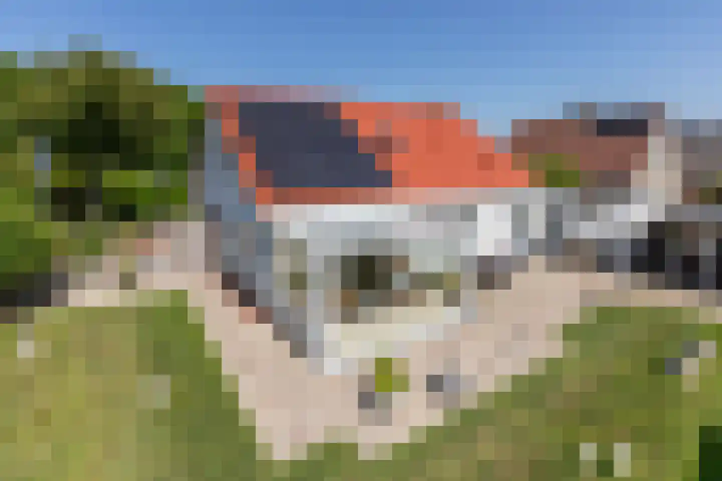 Vlaamse Gaai 7 Oostkapelle thumbnail 31
