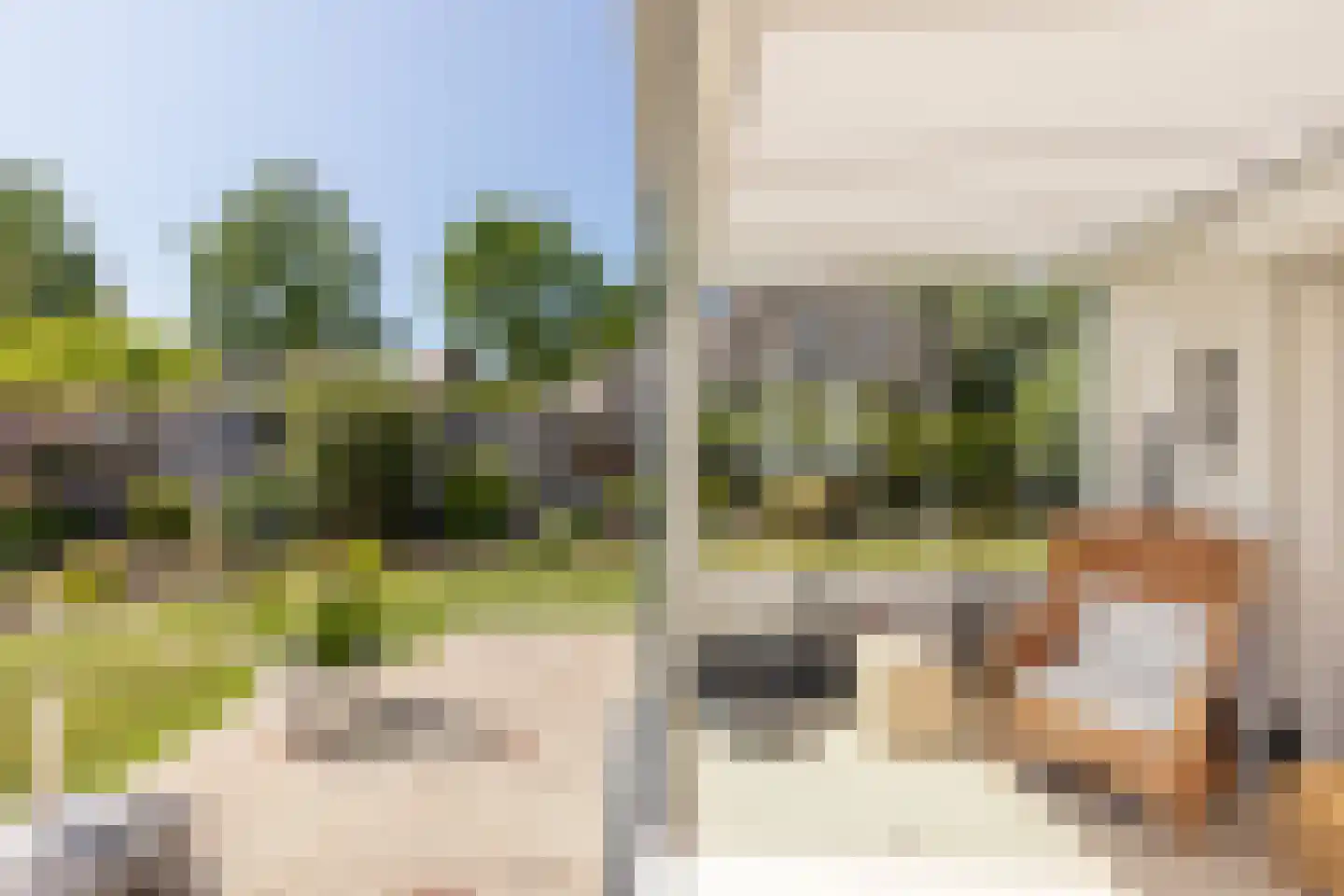 Vlaamse Gaai 7 Oostkapelle thumbnail 35