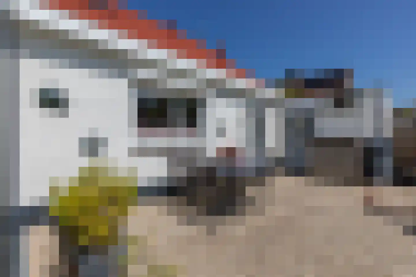 Vlaamse Gaai 7 Oostkapelle thumbnail 39