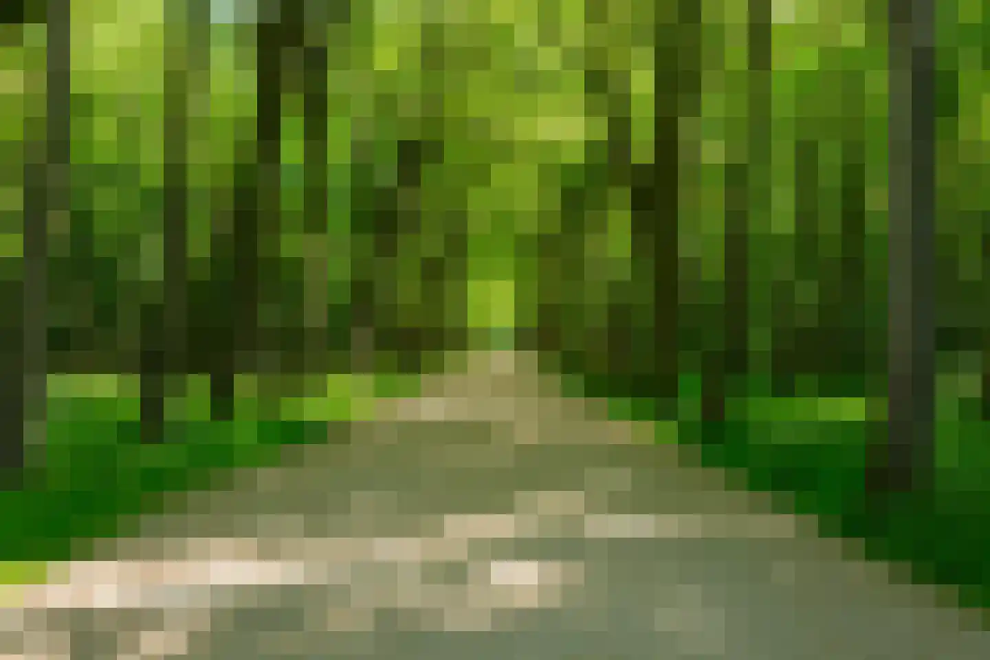 Vlaamse Gaai 7 Oostkapelle thumbnail 44