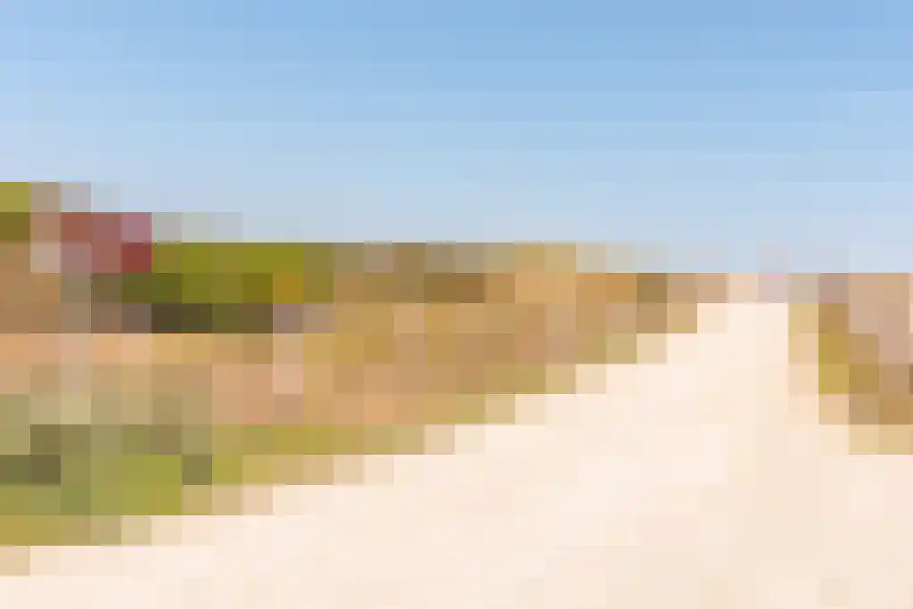 Vlaamse Gaai 7 Oostkapelle thumbnail 47