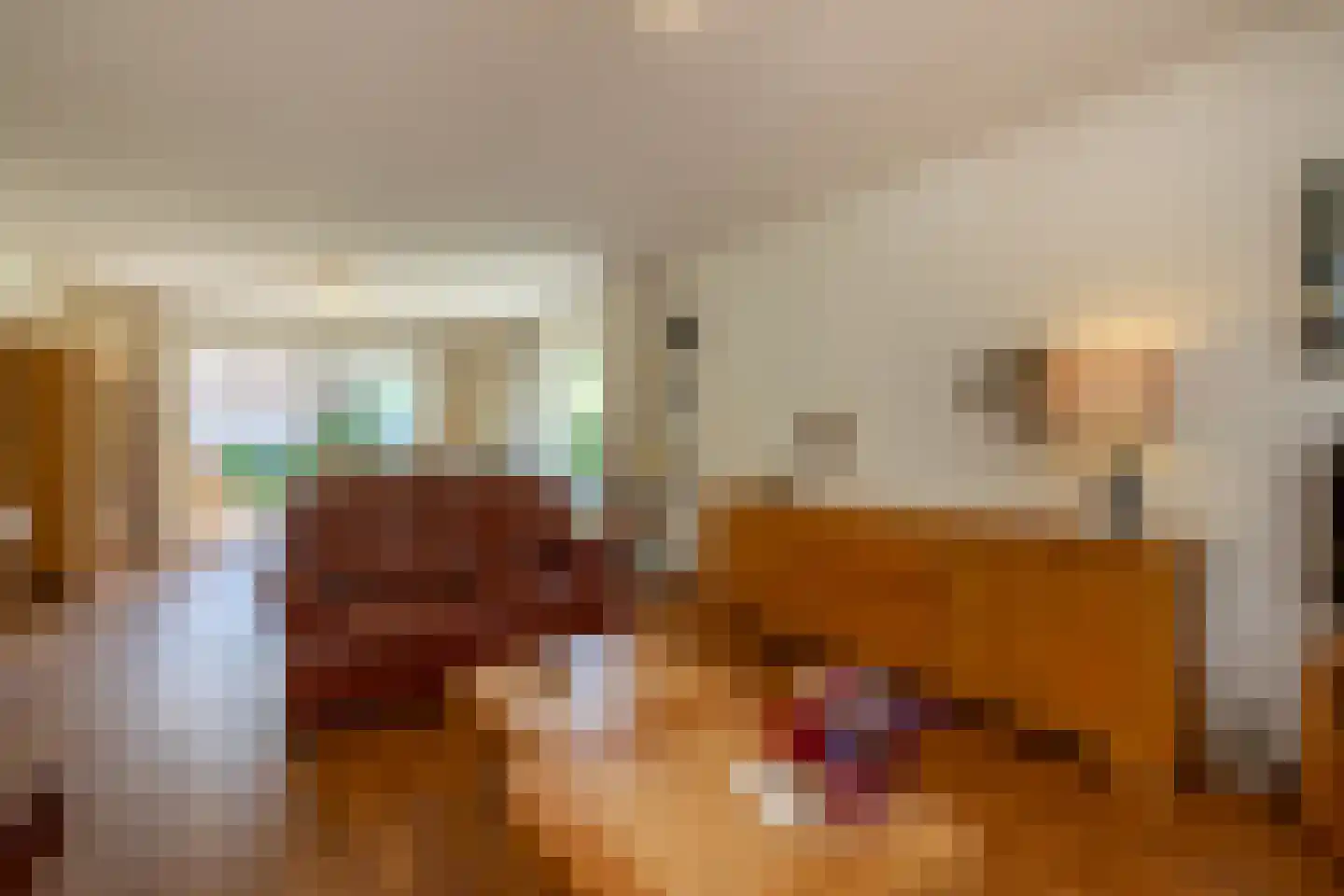 Vlaamse Gaai 7 Oostkapelle thumbnail 8