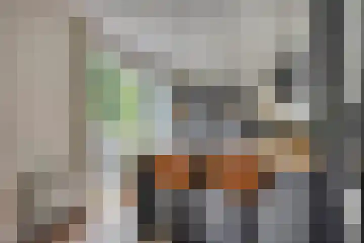 Vlaamse Gaai 9 Zeewolde thumbnail 12