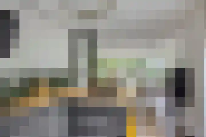 Vlaamse Gaai 9 Zeewolde thumbnail 13