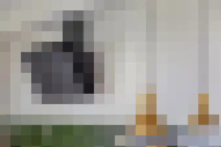 Vlaamse Gaai 9 Zeewolde thumbnail 14