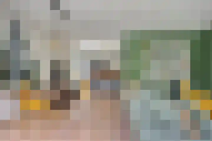 Vlaamse Gaai 9 Zeewolde thumbnail 15