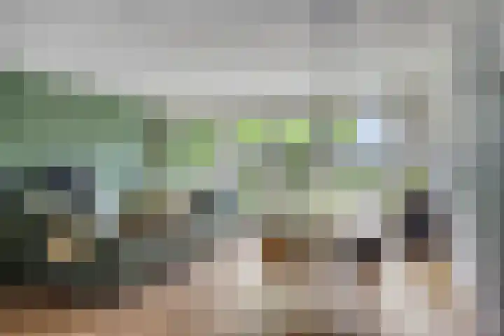 Vlaamse Gaai 9 Zeewolde thumbnail 16