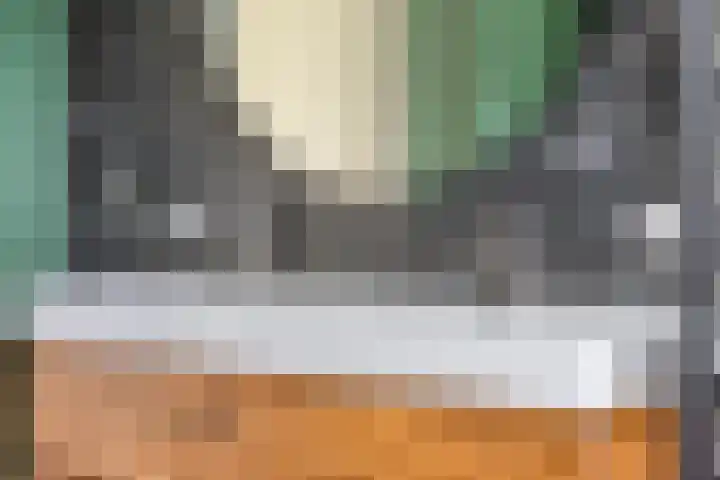 Vlaamse Gaai 9 Zeewolde thumbnail 22