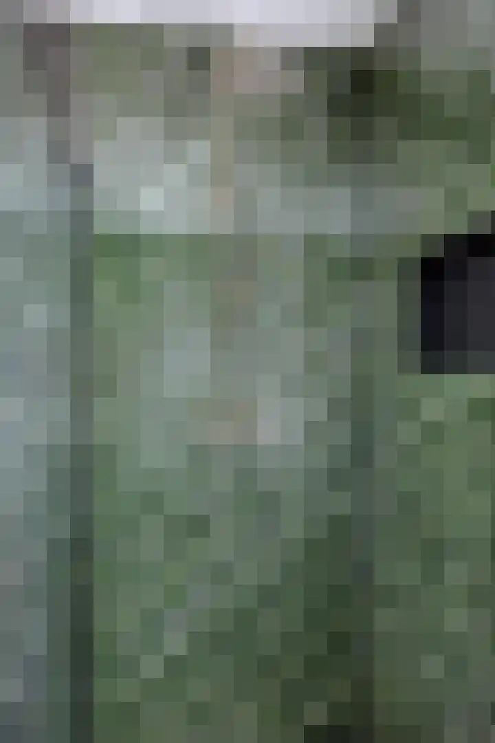 Vlaamse Gaai 9 Zeewolde thumbnail 23