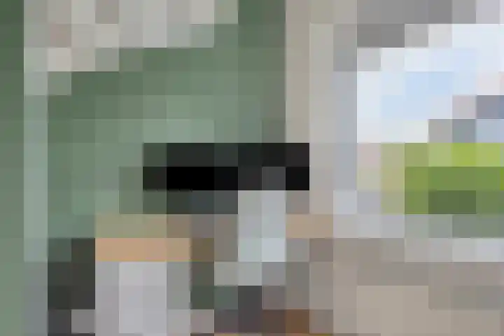 Vlaamse Gaai 9 Zeewolde thumbnail 26