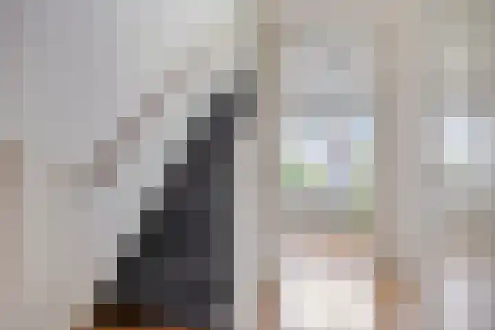 Vlaamse Gaai 9 Zeewolde thumbnail 28