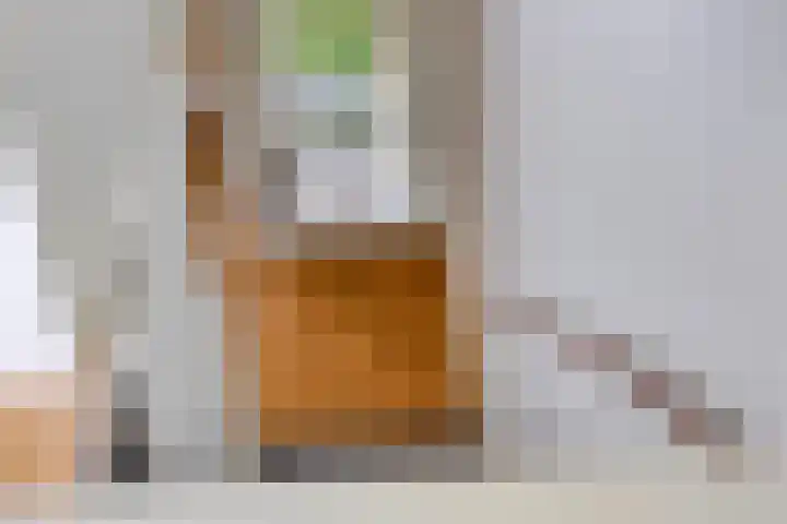 Vlaamse Gaai 9 Zeewolde thumbnail 29